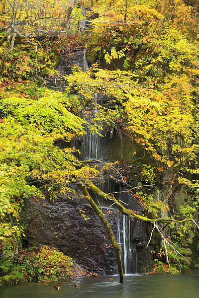 Herbst Japan