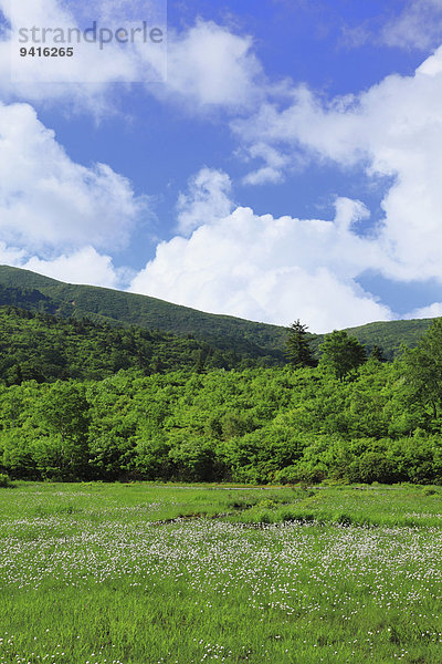 Akita Präfektur Japan