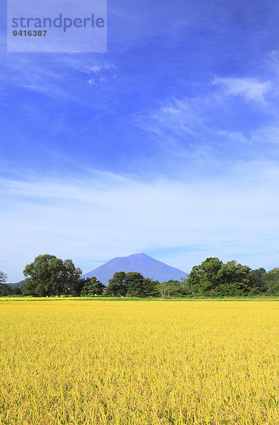 Iwate Japan