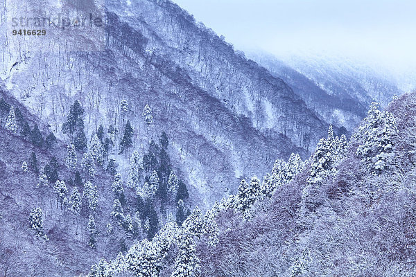 Akita Präfektur Japan