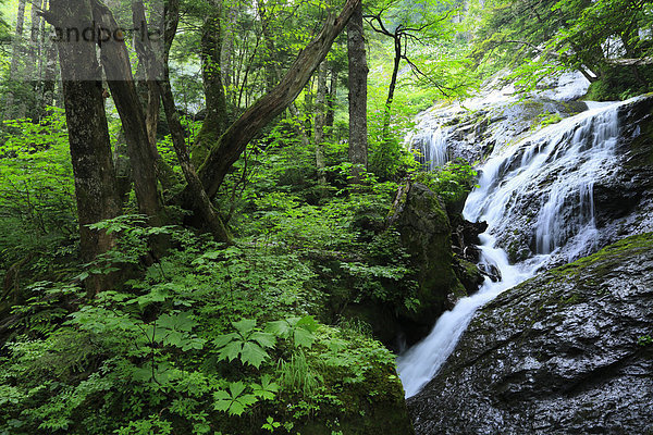 Nagano Japan