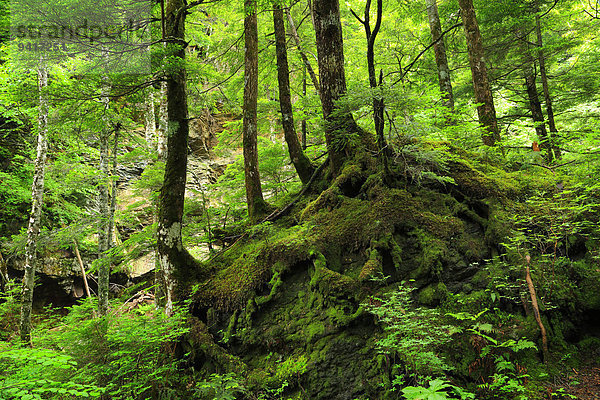 Nagano Japan