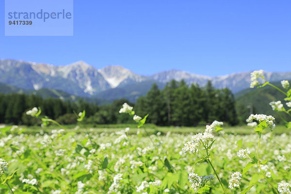 Nagano Japan