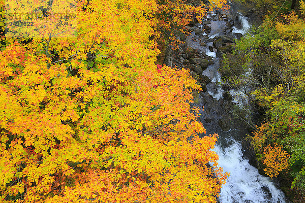 Nagano Japan