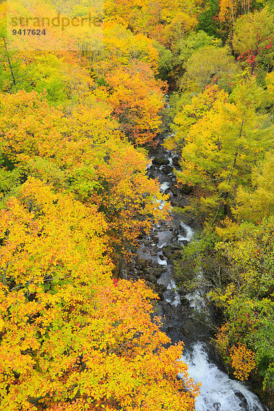 Nagano Japan