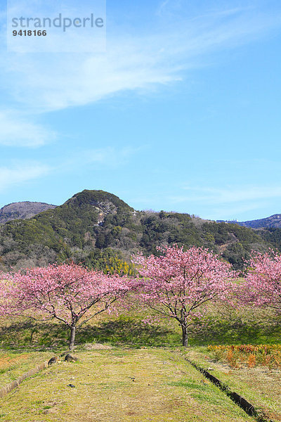 Japan Shizuoka Präfektur