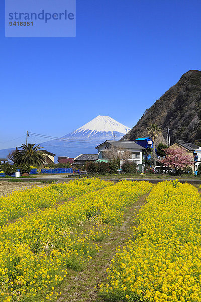 Japan Shizuoka Präfektur