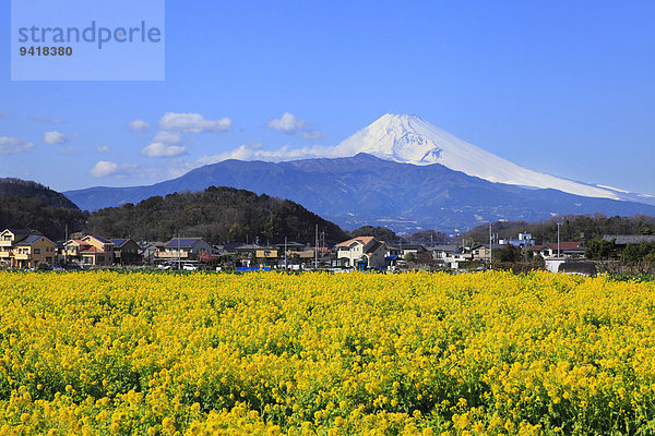 Japan Shizuoka Präfektur