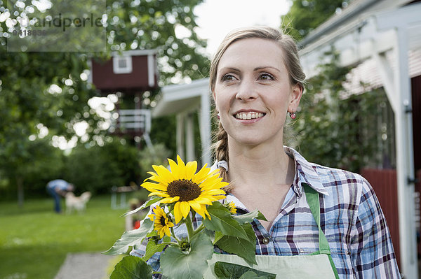 Sonnenblume helianthus annuus Portrait Frau lächeln halten