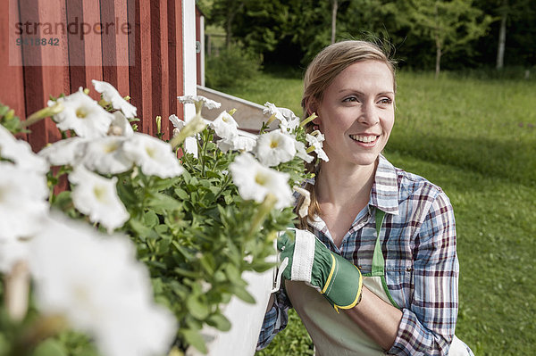 Frau Fenster Blume Garten Gartenbau