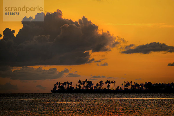 Sonnenuntergang mit Palmeninsel  Sulawesi  Indonesien