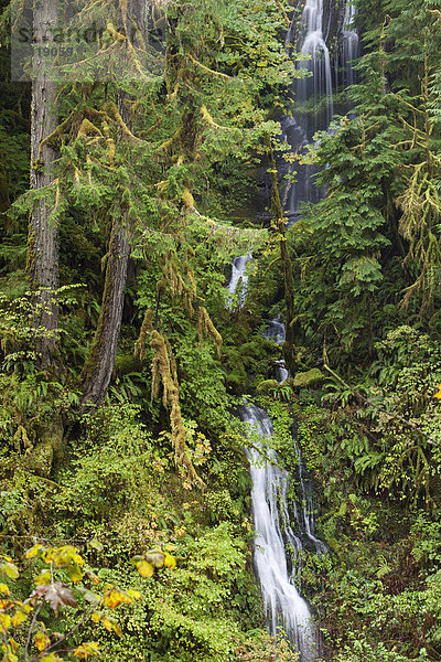 Wasserfall am Eagle Creek Trail in der Columbia River Gorge Schlucht  Portland  Oregon  USA