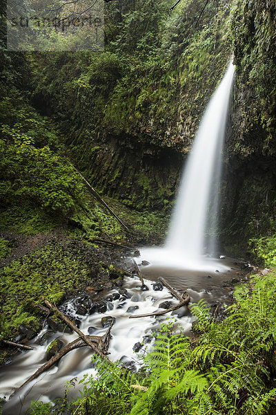 Wasserfall Latourell Falls in der Columbia River Gorge Schlucht  Portland  Oregon  USA