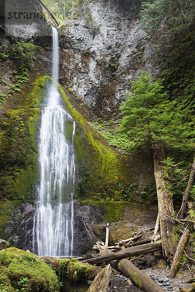 Wasserfall Marymere Falls im Olympic-Nationalpark  Washington  USA