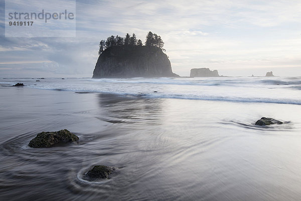 Felsnadel am Second Beach im Olympic-Nationalpark  Washington  USA