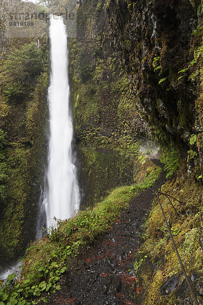 Wasserfall Tunnel Falls in der Columbia River Gorge Schlucht  Portland  Oregon  USA