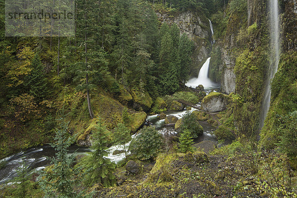 Wasserfall Wahclella Falls in der Columbia River Gorge Schlucht  Portland  Oregon  USA