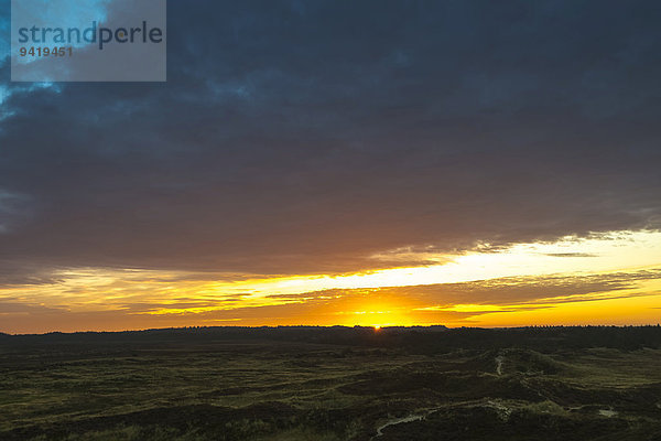 Sonnenaufgang über Dünen und Heidelandschaft  Henne  Region Syddanmark  Dänemark