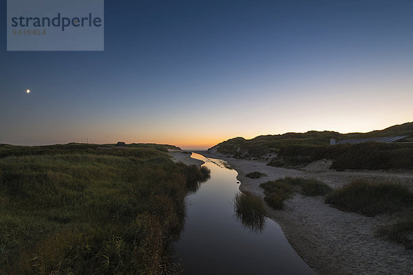 Dünenlandschaft mit Fluss Henne Mølle Å bei Sonnenuntergang  Henne Strand  Syddanmark  Dänemark