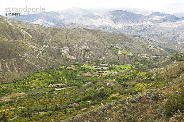 Feldlandschaft im Chota-Tal  Provinz Imbabura  Ecuador