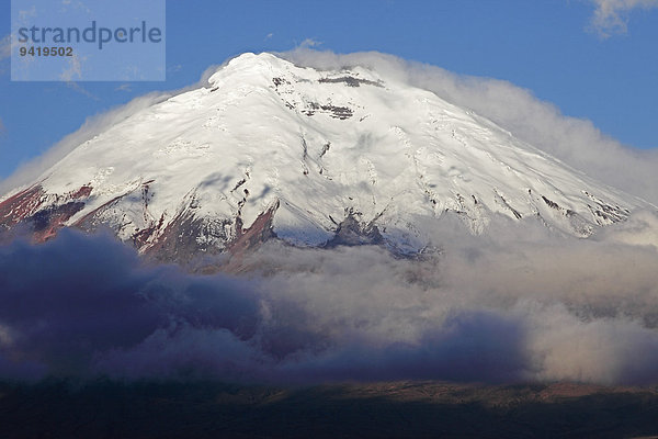Schneebedeckter Gipfel des Vulkan Cotopaxi ragt aus einer Wolkenhülle  Provinz Cotopaxi  Ecuador