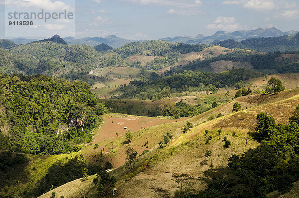 Abgeerntete Felder  Berge  Provinz Mae Hong Song  Nordthailand  Thailand