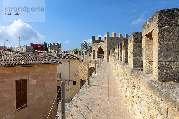 Auf der Stadtmauer von Alcudia  Mallorca  Balearen  Spanien
