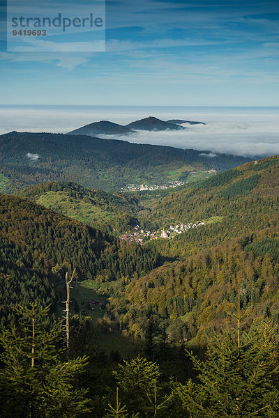 Panoramablick ins Murgtal  Schwarzwald  Baden-Württemberg  Deutschland