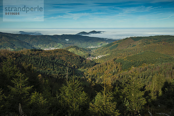 Panoramablick ins Murgtal  Schwarzwald  Baden-Württemberg  Deutschland