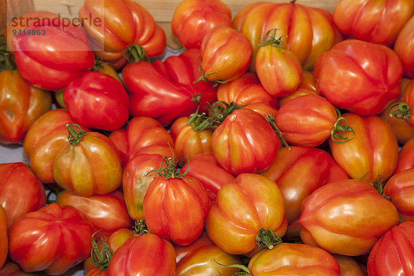 Tomaten (Solanum lycopersicum)  Deutschland