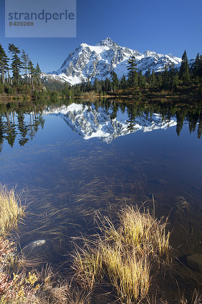 Picture Lake und Mount Shuksan in den Northern Cascades  Rockport  Washington  USA