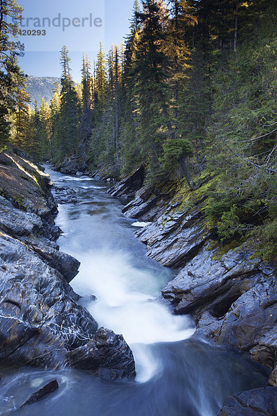 Icicle Creek im Herbst  Leavenworth  Washington  USA