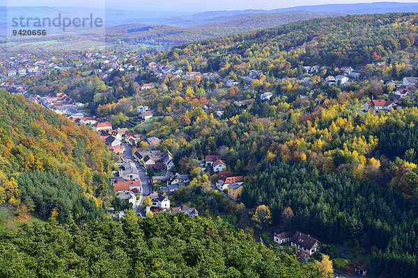Ortsansicht im Herbst  Forchtenstein  Burgenland  Österreich