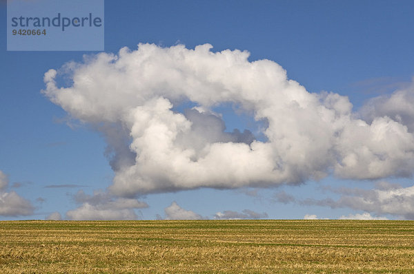 Ungewöhnlich geformte Wolke über abgeerntetem Feld  Mecklenburg-Vorpommern  Deutschland