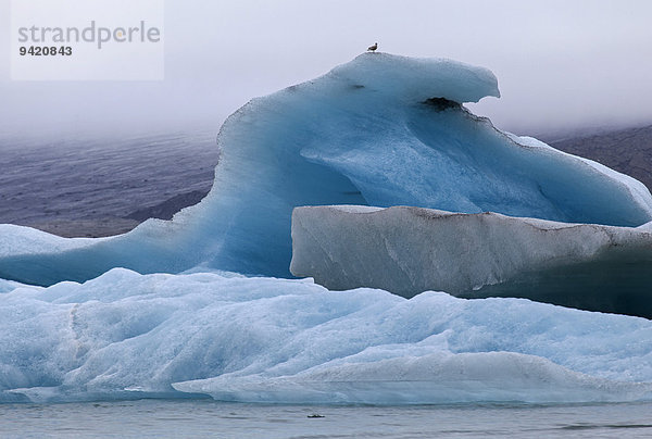 Eis  Eisberge  Gletschersee  Gletscherlagune  Jökulsárlón  Island