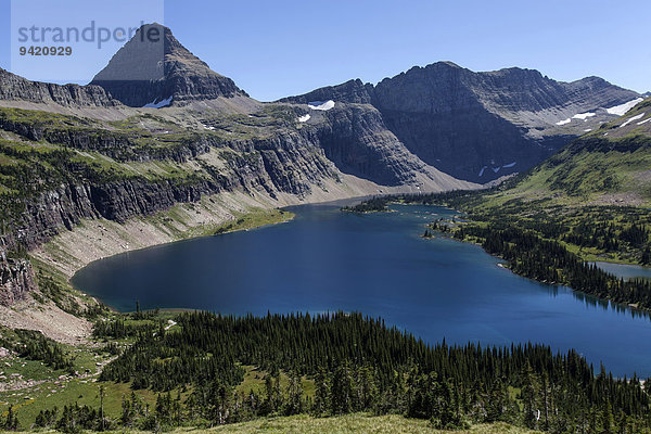 Hidden Lake mit Reynolds Mountains  Glacier-Nationalpark  Montana  USA