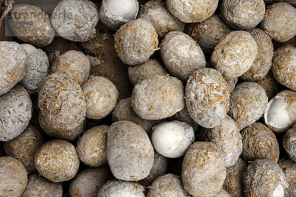Hundertjährige Eier  Myanmar