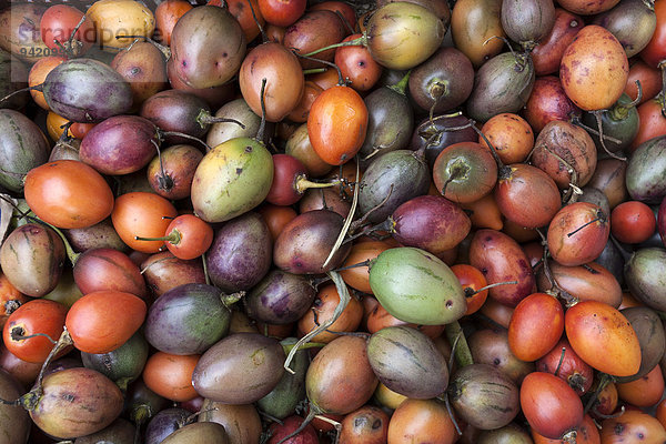 Tamarillo (Solanum betaceum)  La Reunion  Frankreich