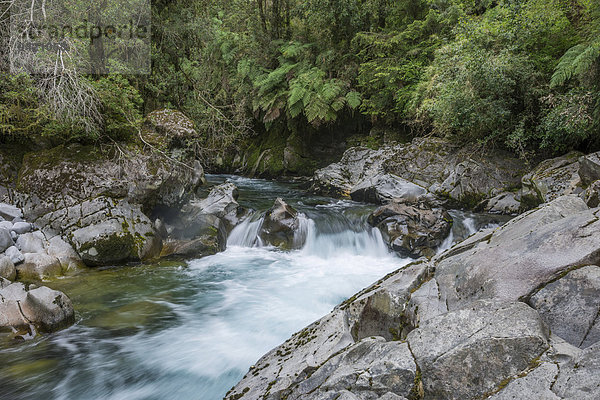 Stromschnellen Rápidos del Chanleufú  Nationalpark Puyehue  Región de los Lagos  Chile