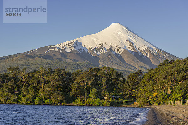 Vulkan Osorno und Ufer des Bucht des Llanquihue Sees  Puerto Varas  Región de los Lagos  Chile