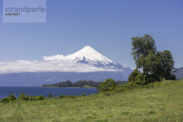 Vulkan Osorno  Puerto Varas  Región de los Lagos  Chile