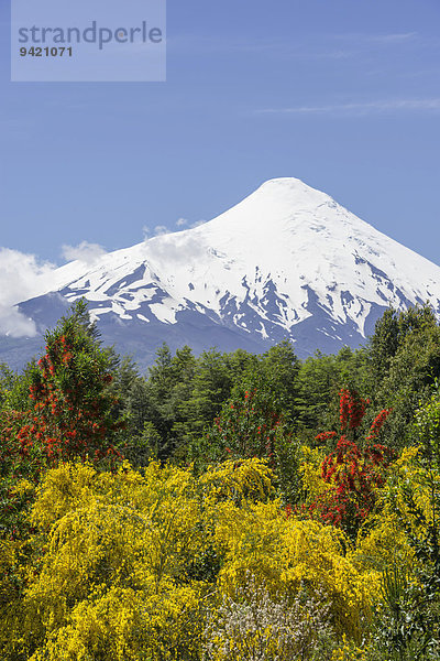 Vulkan Osorno  Puerto Varas  Región de los Lagos  Chile