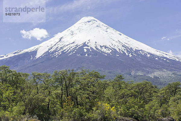 Vulkan Osorno  Parc Nacional Vicente Pérez Rosales  Puerto Varas  Región de los Lagos  Chile