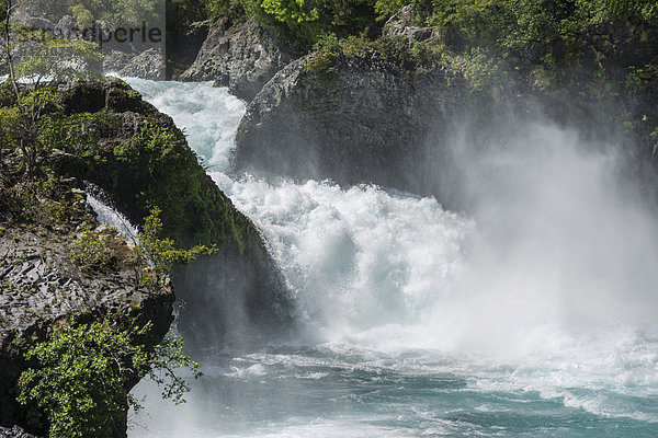 Wasserfall des Rio Petrohué  Parc Nacional Vicente Pérez Rosales  Puerto Varas  Región de los Lagos  Chile