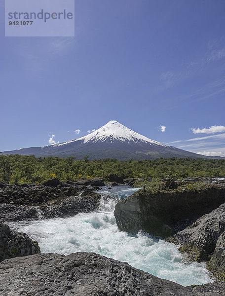 Wasserfall des Rio Petrohué und Vulkan Osorno  Parc Nacional Vicente Pérez Ros  Puerto Varas  Región de los Lagos  Chile