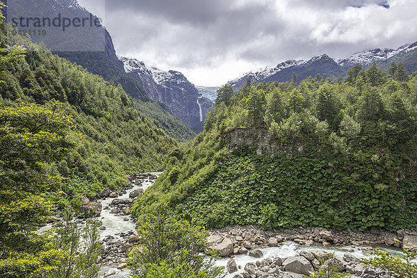 Gletscherfluß und dahinter Ventisquero Colgante oder hängender Gletscher  Parc National Queulat  Puerto Puyuhuapi  Aysén  Chile
