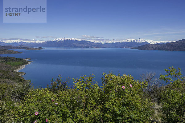 Lago General Carrera  Chile Chico  Región de Aysén  Chile