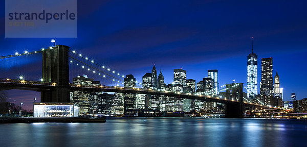 Brooklyn Bridge  Ausblick vom Main Street Park über den East River auf die Skyline von Manhattan  Downtown Brooklyn  Brooklyn  New York