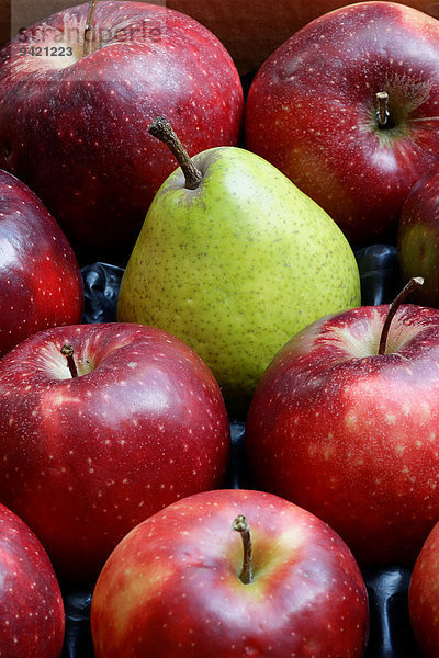 Birne inmitten von roten Jonagored Äpfeln