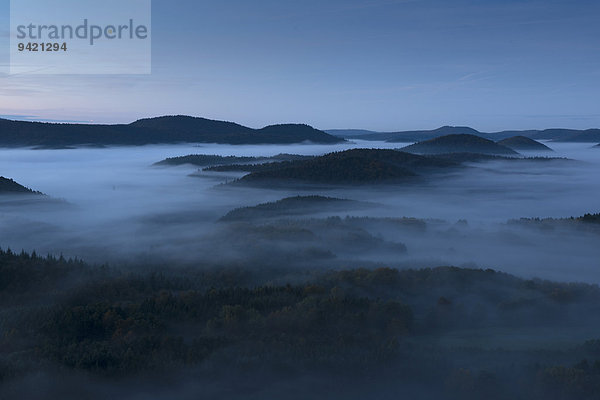 Pfälzer Wald  von der Burgruine Lindelbrunn  Dahner Felsenland  Dahn  Pfalz  Rheinland-Pfalz  Deutschland